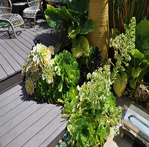 Small Space Deck Garden